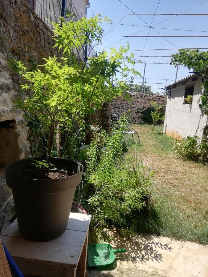 Old Istrian House,Free Parking Apartment Galizana Exterior photo